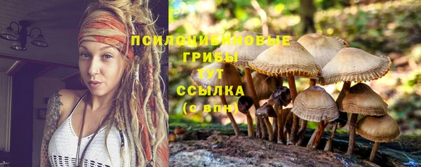 соль ск Белоозёрский