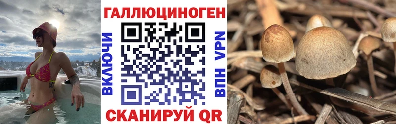 Купить где  Мещовск  Галлюциногенные грибы ЛСД 
